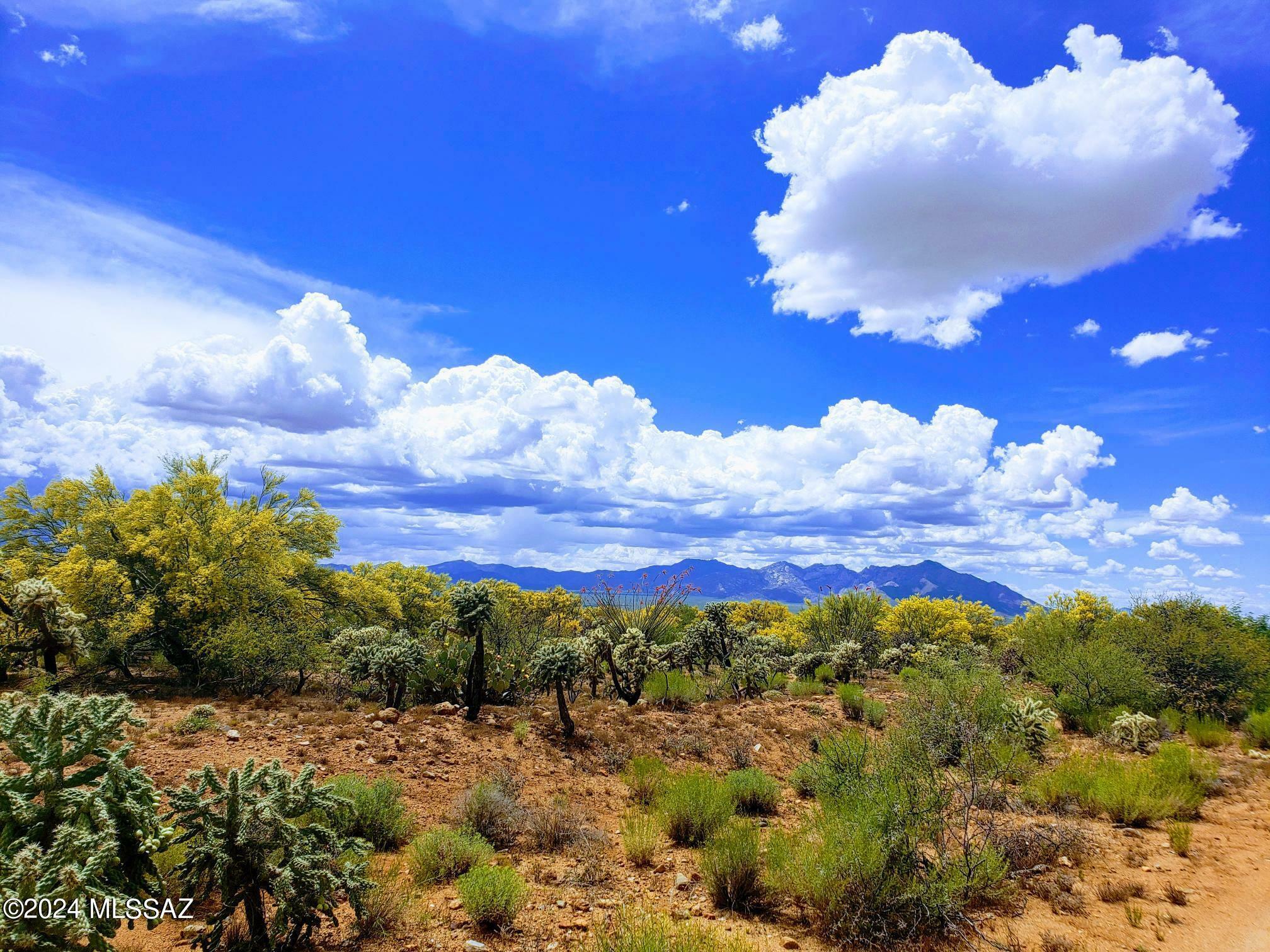 Property Photo: 16408 Stoval Avenue AZ 85736