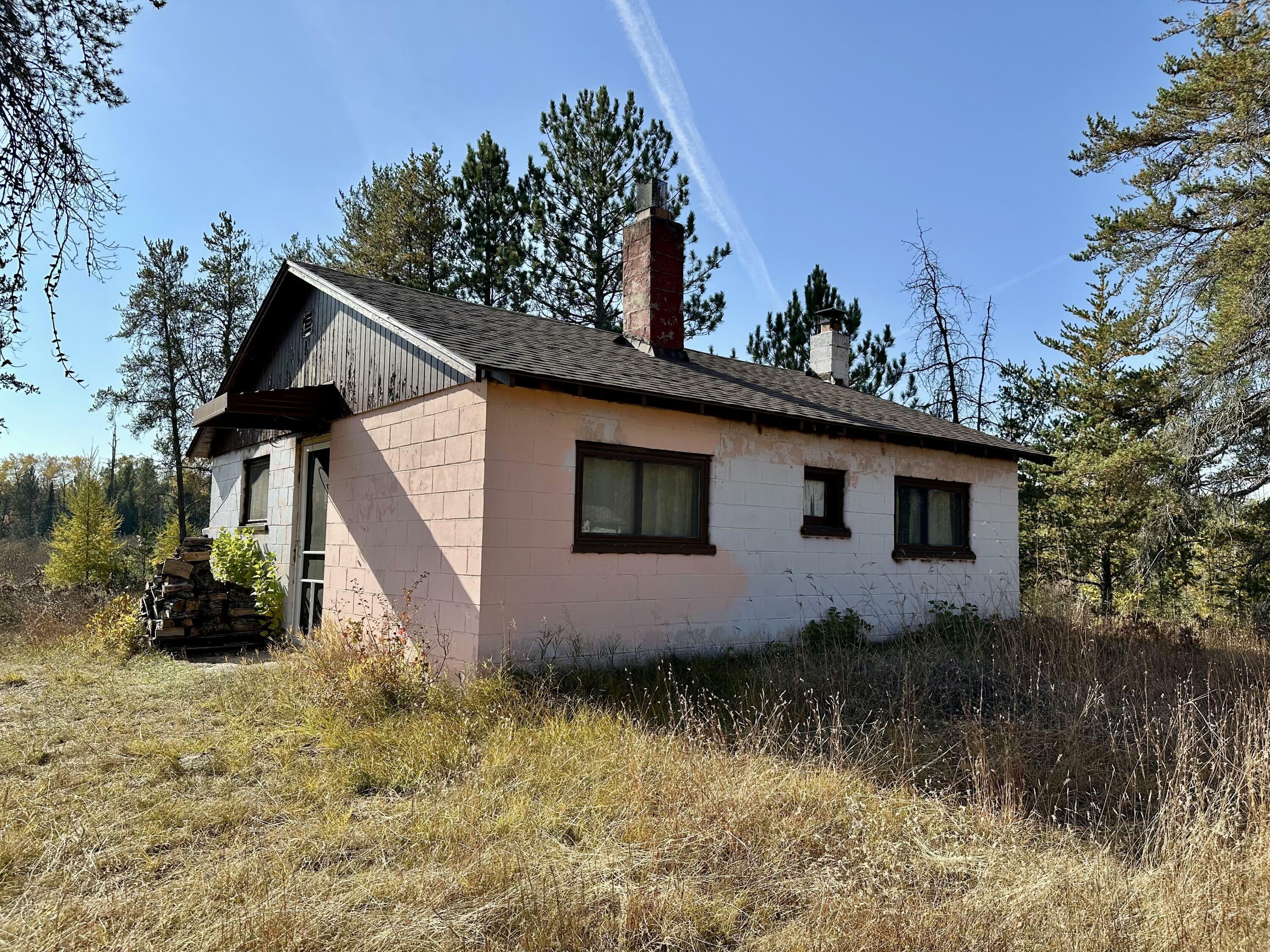 16108 Shank Road  Onaway MI 49765 photo