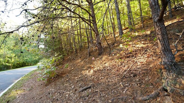 Property Photo:  Lot 5 Eden Park Drive  GA 30740