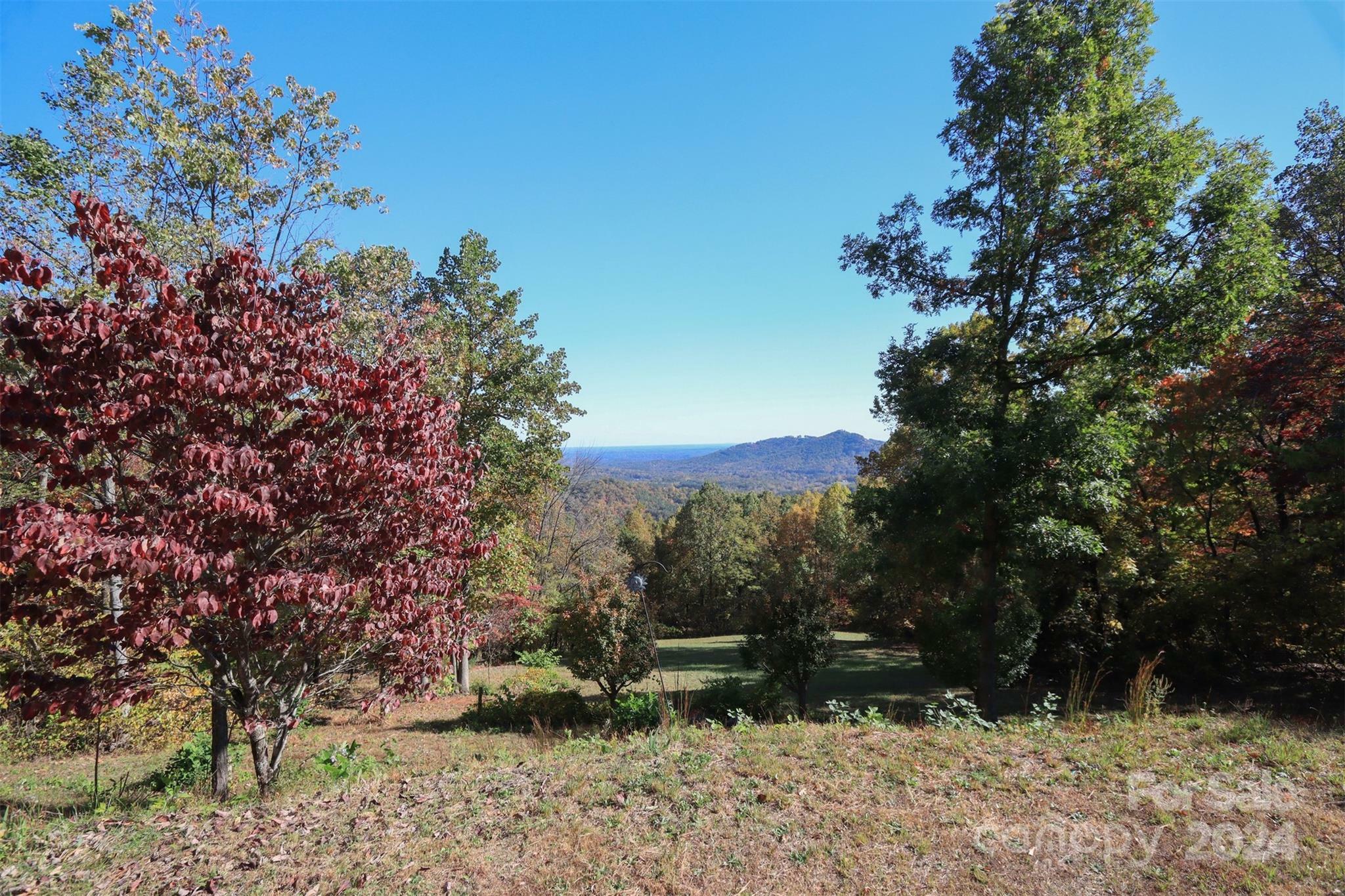 Property Photo:  145 Lazy Acres Lane  NC 28746 