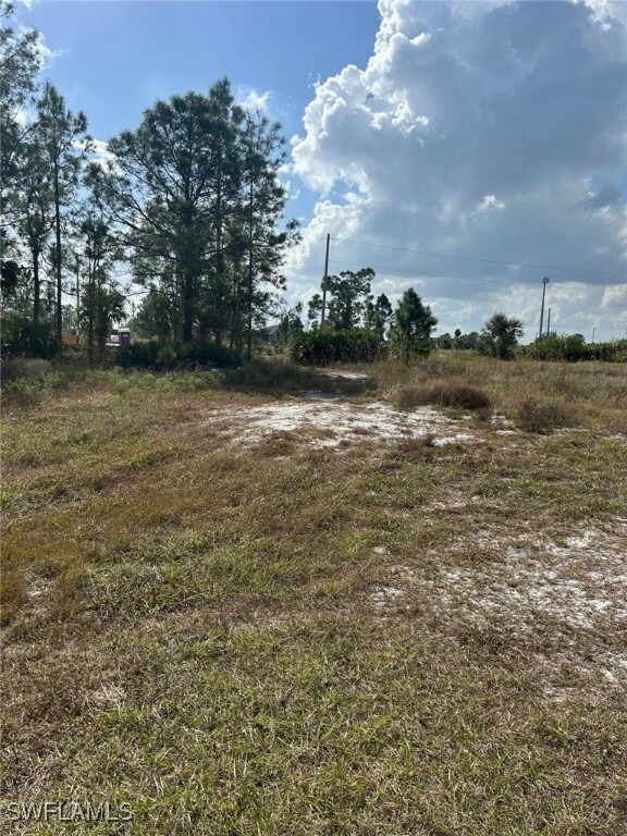 Property Photo:  1045 Kirkwood Street  FL 33974 