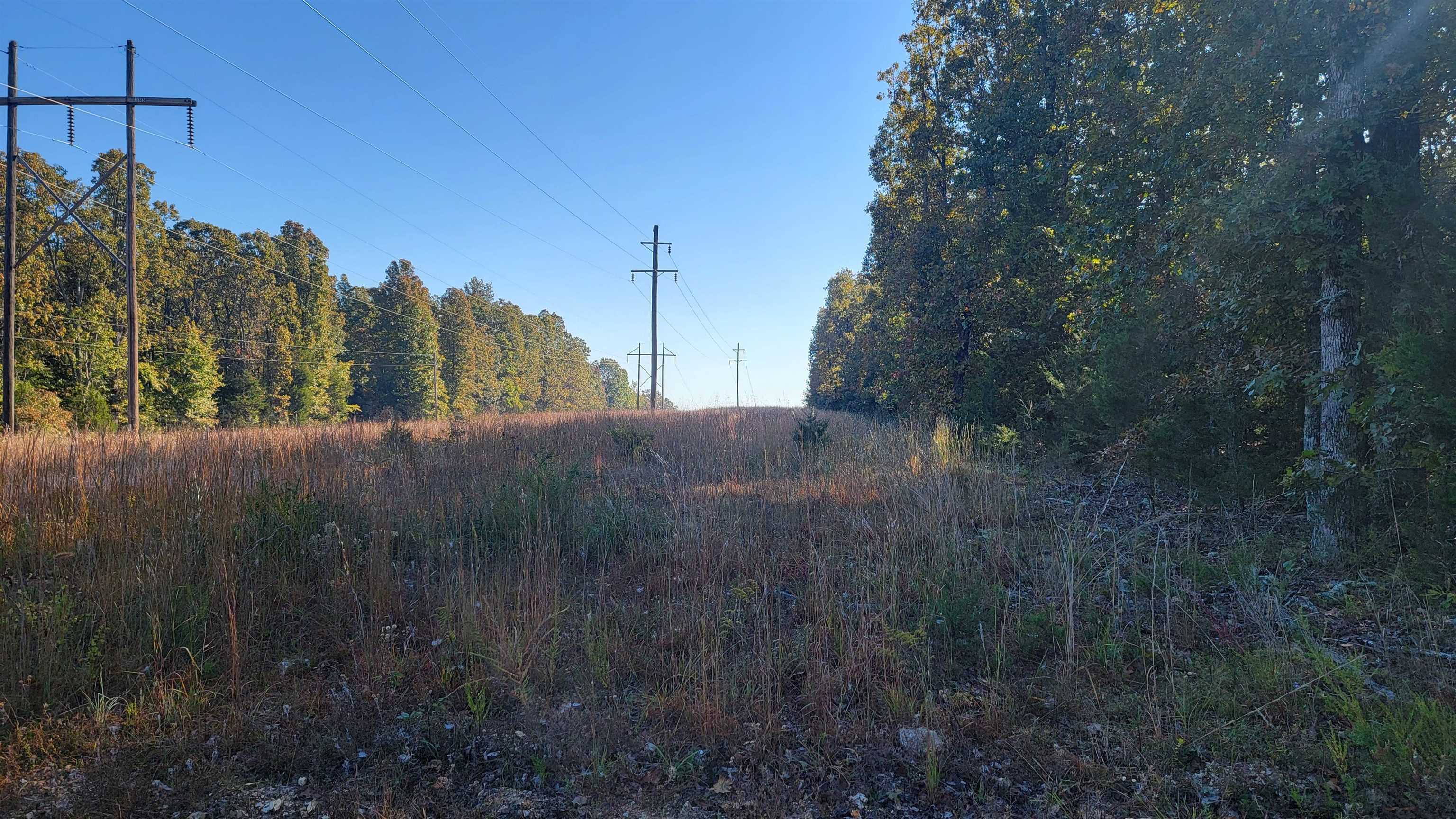 Property Photo:  1518 Gooseberry Lane  AR 72512 