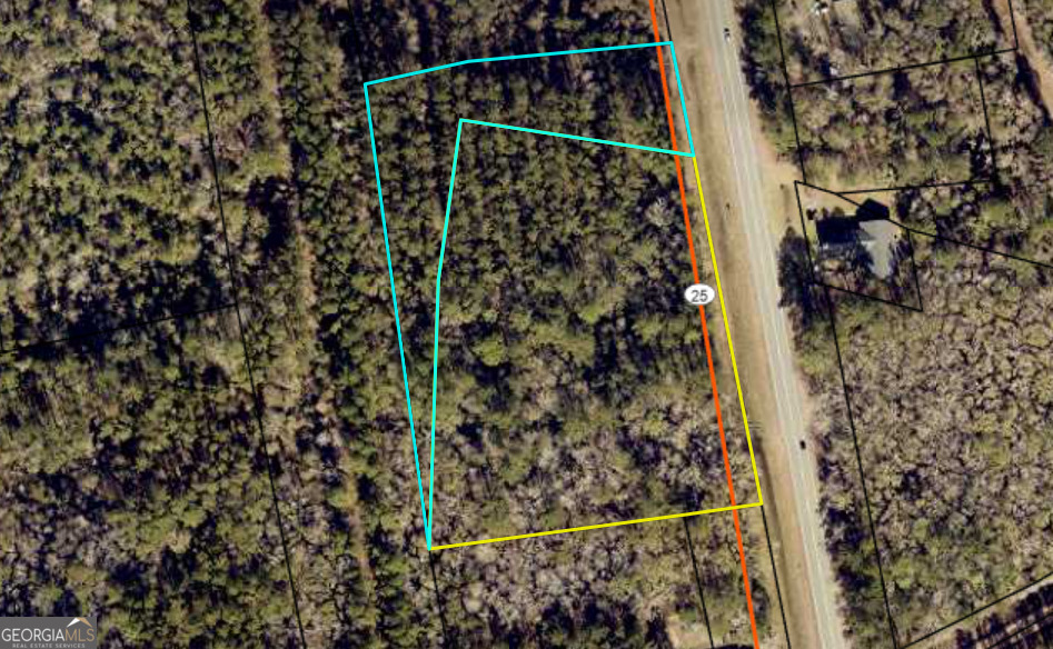 Property Photo:  V/L Cornelia Armstrong Tract 1 &Amp 2  GA 31569 