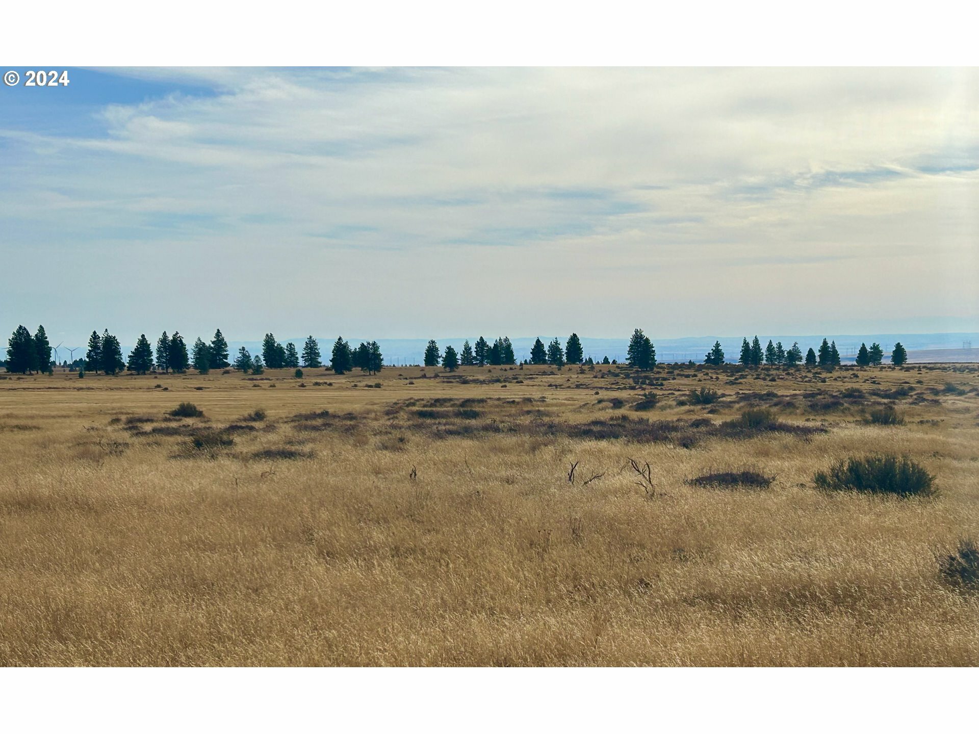 Property Photo:  Bickleton Hwy  WA 99322 