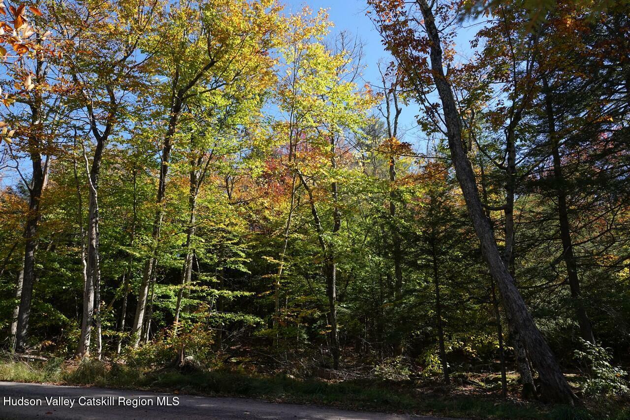 Property Photo:  27 Repucci Forest  NY 12427 