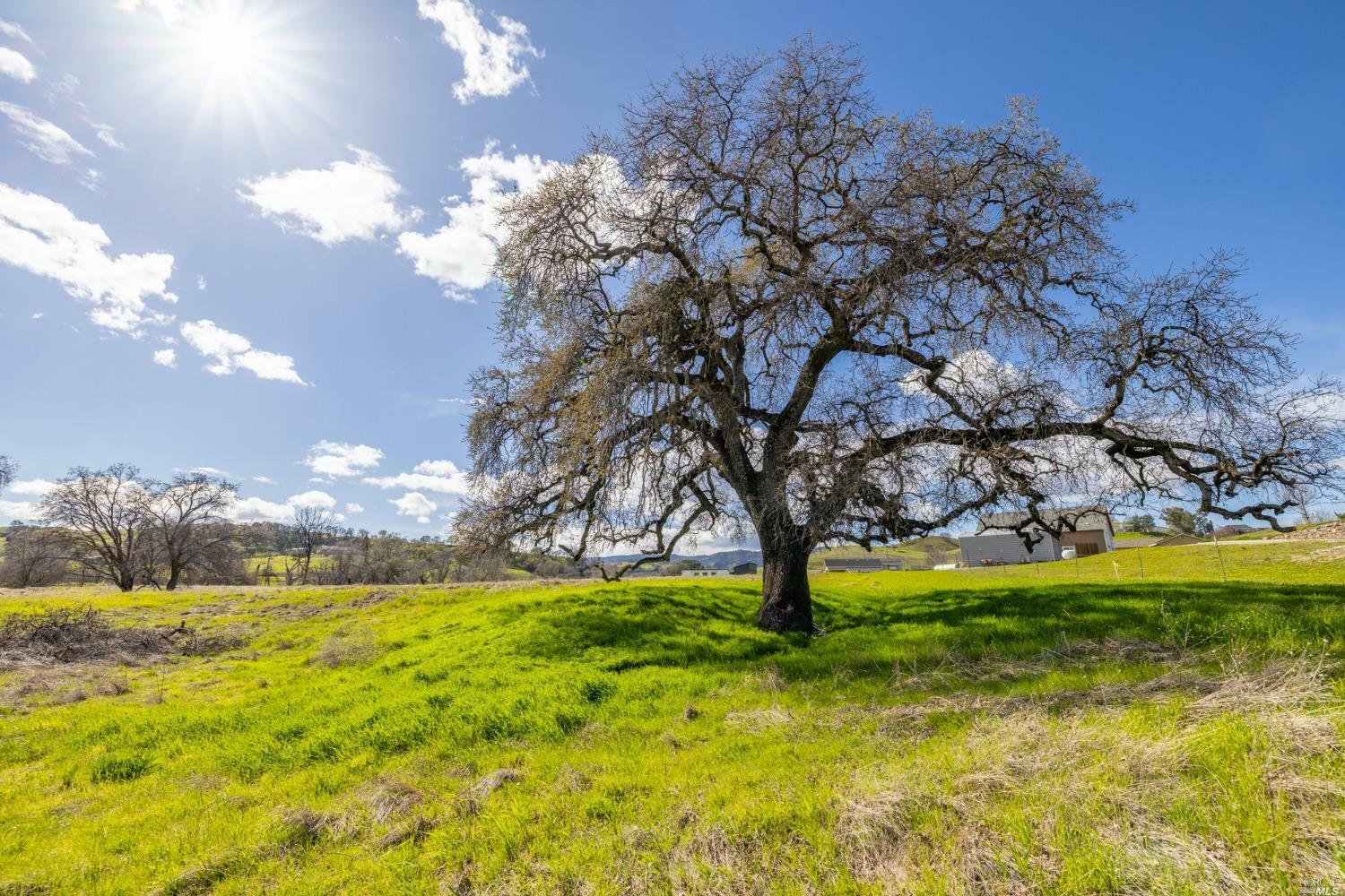 Property Photo:  5 English Creek Lane  CA 95688 