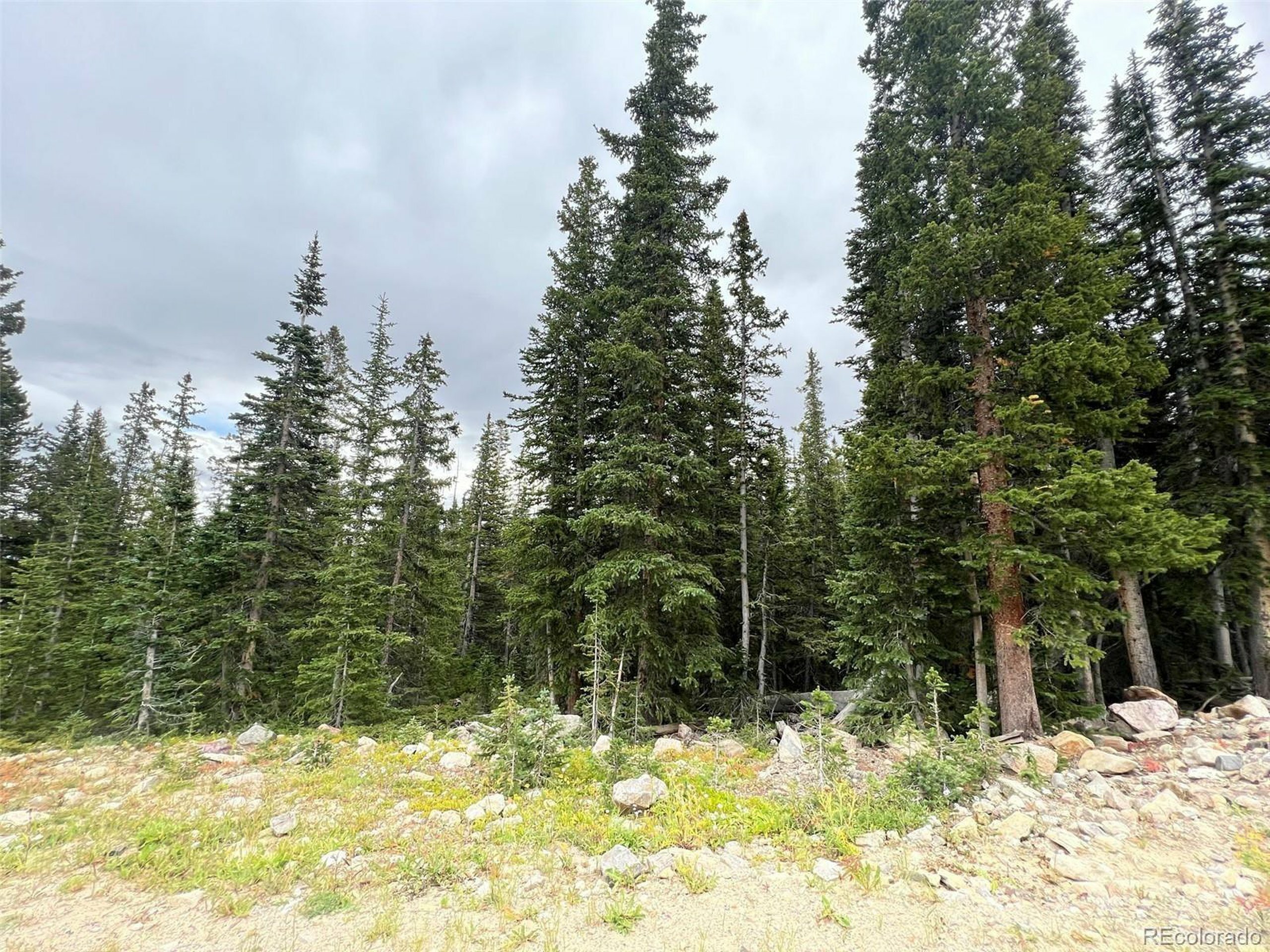 Property Photo:  182 El Lobo Ln  CO 80440 