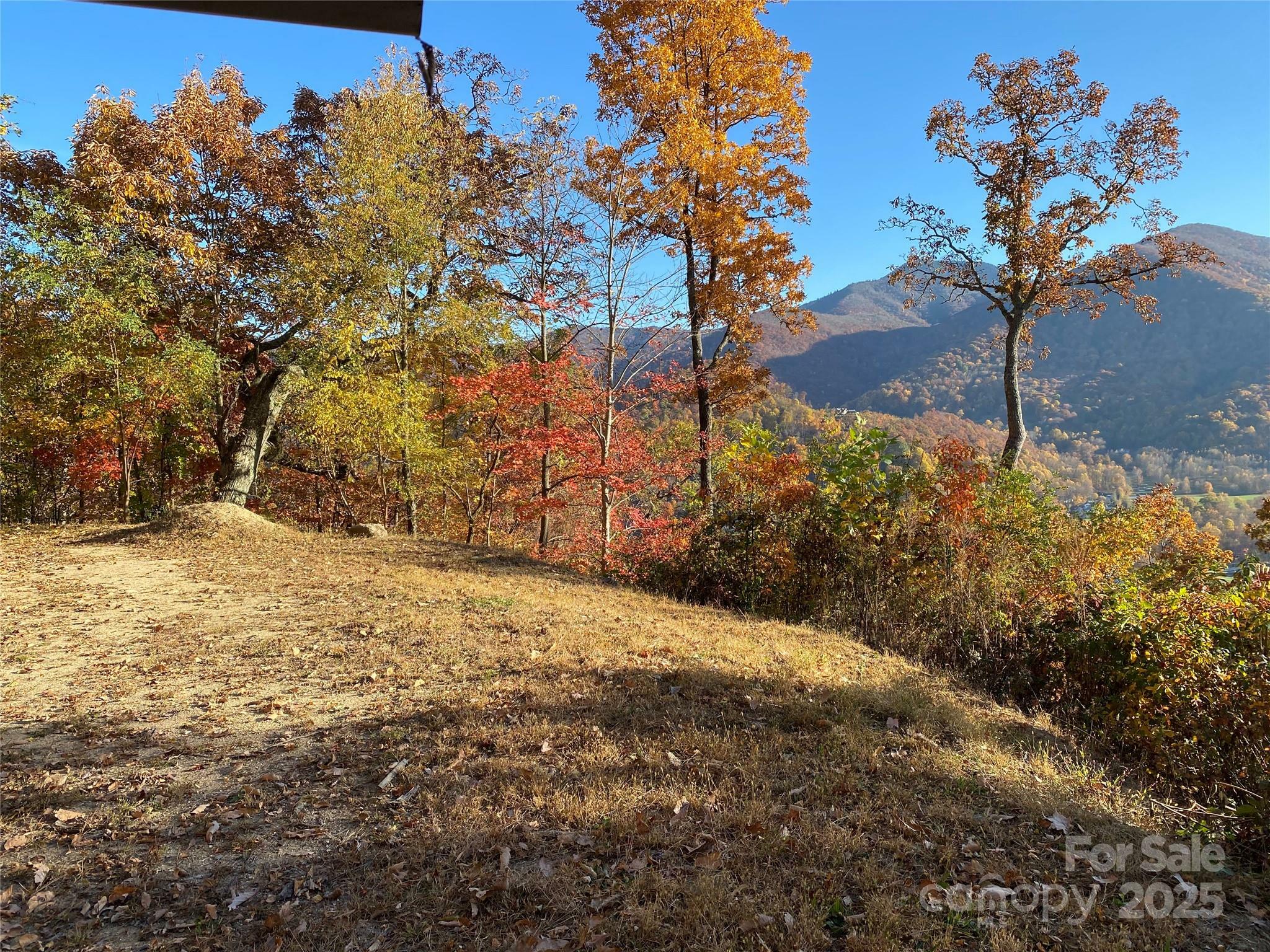 Property Photo: 40 Cougar Lane 13,14,15,16 NC 28751