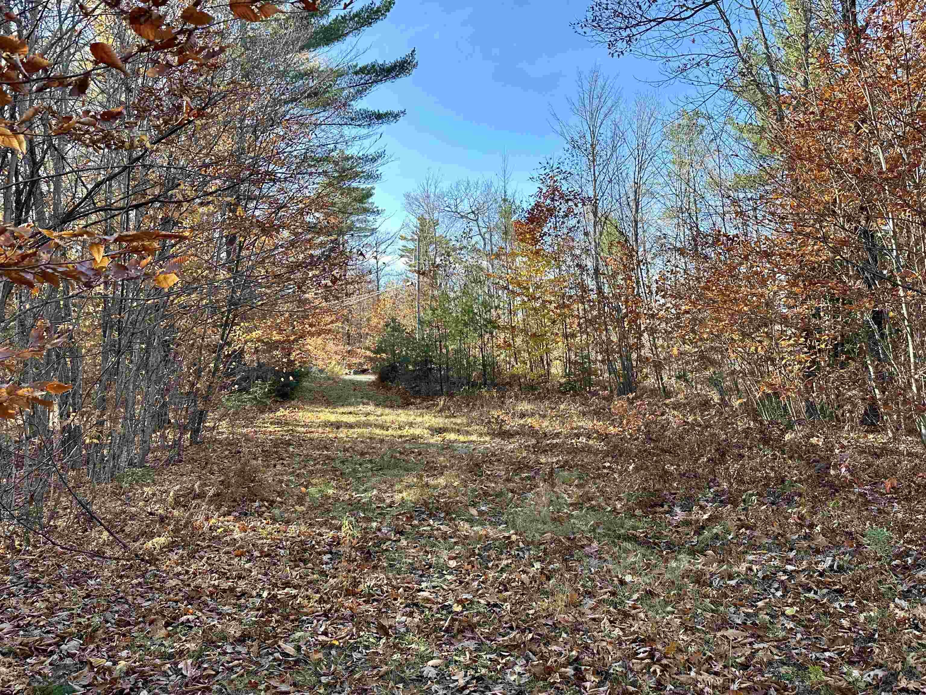 Property Photo:  52 Danbury Woods Road  NH 03230 