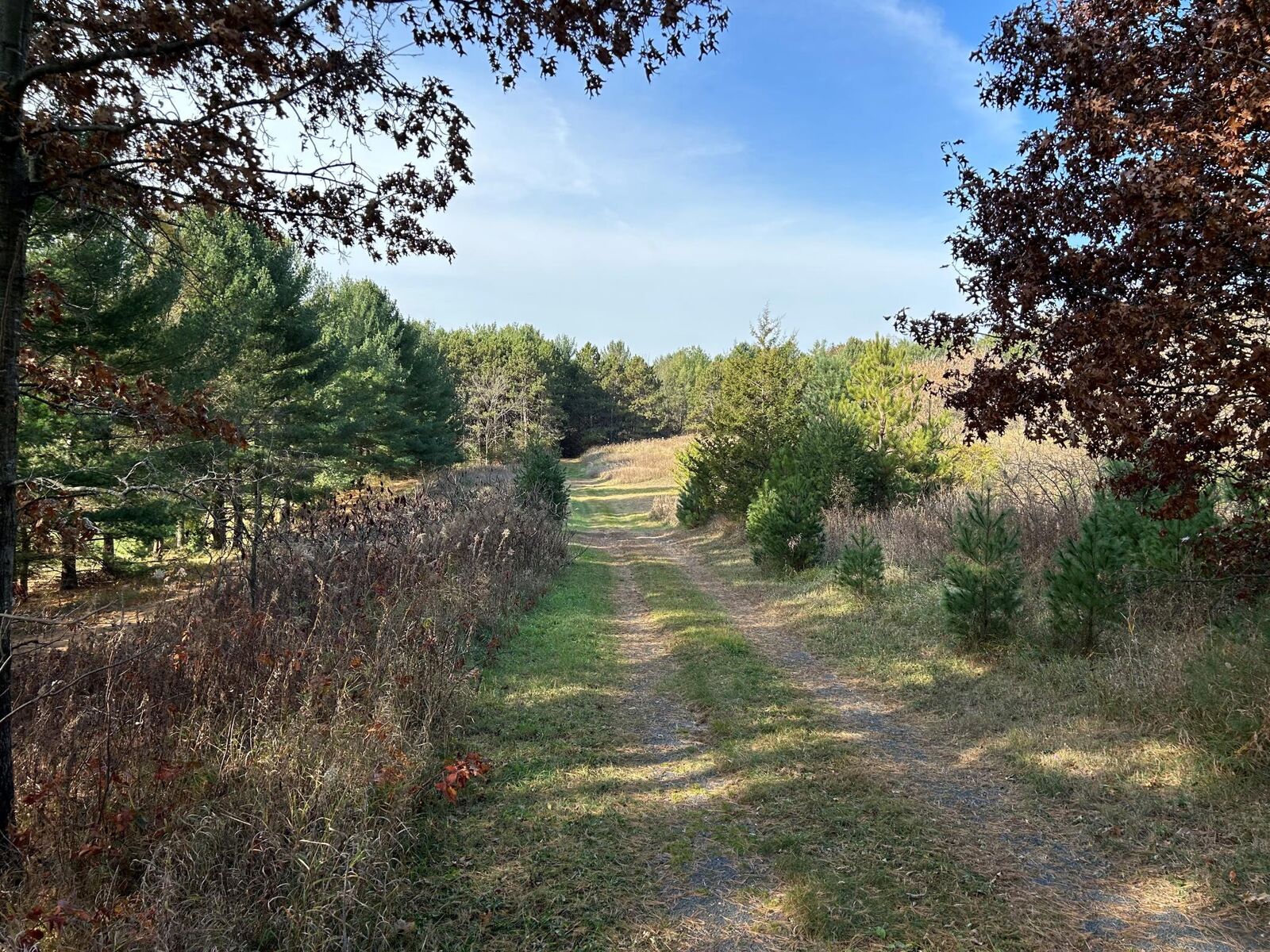 Property Photo: 1888 80th Street WI 54025