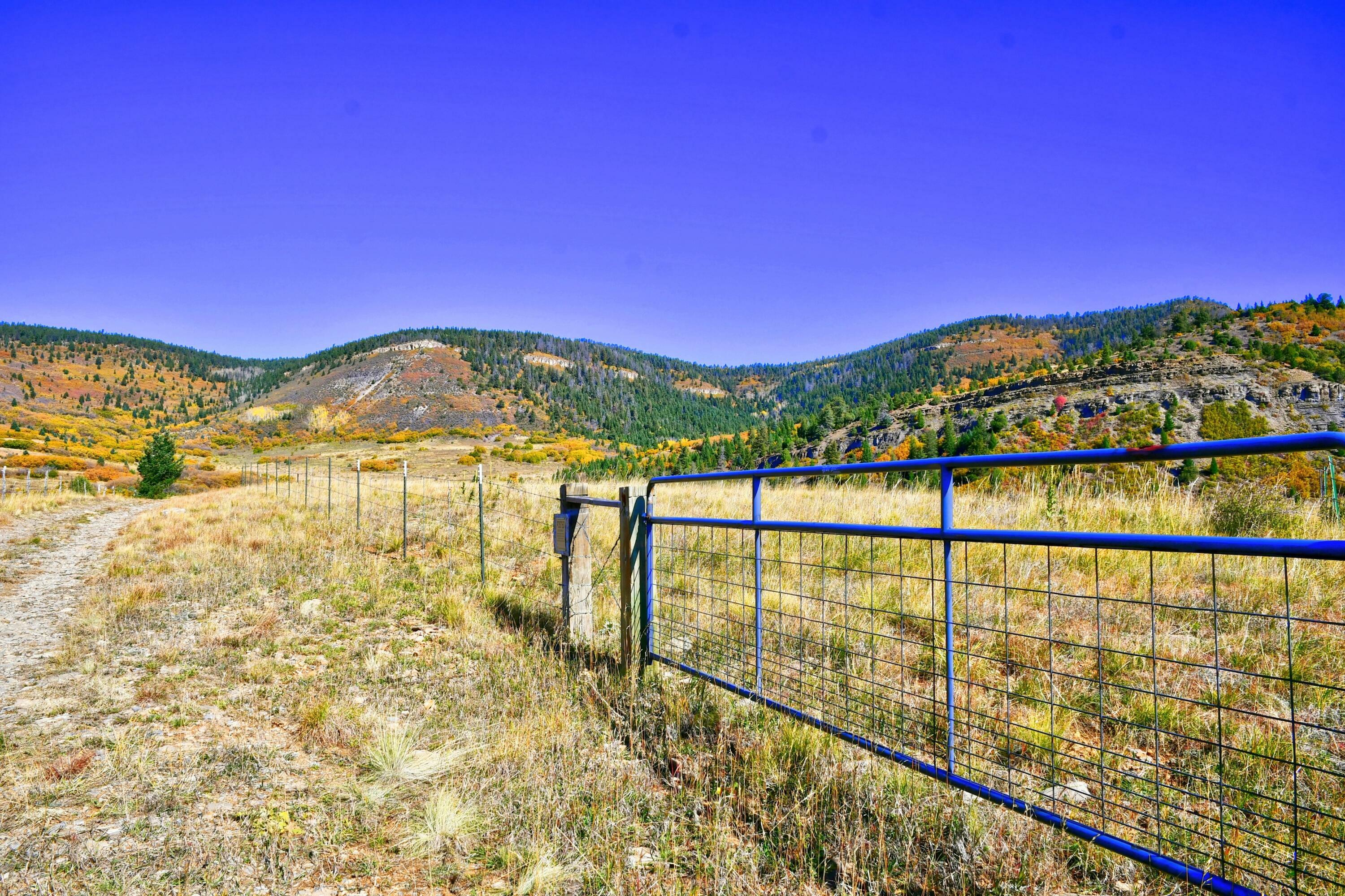 Property Photo:  Chacontr2 Creek B008  NM 87732 