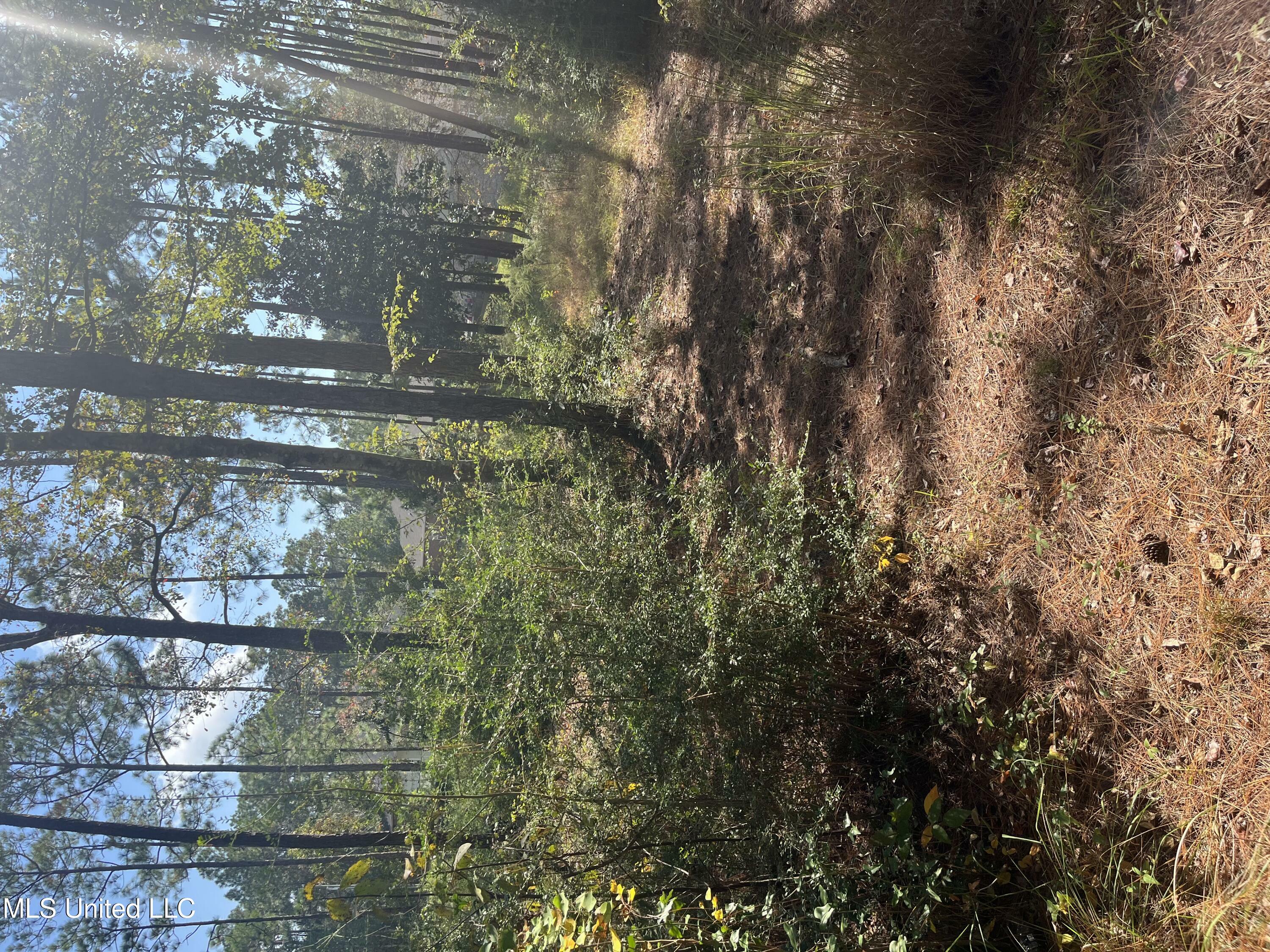 Property Photo:  Lot 79&Amp80 Windward Drive  MS 39553 