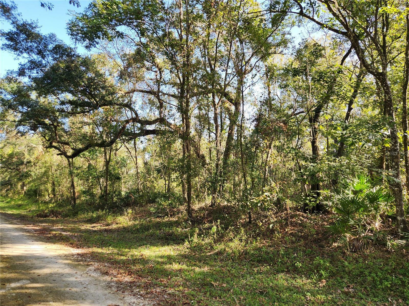 Property Photo:  Table Rock Drive  FL 33597 