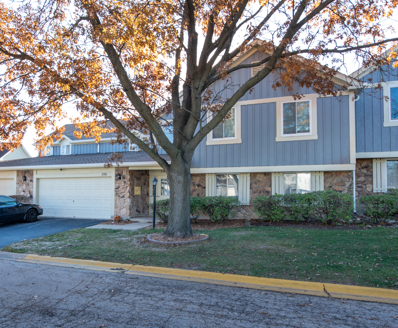 Property Photo:  390 Springlake Lane B  IL 60504 