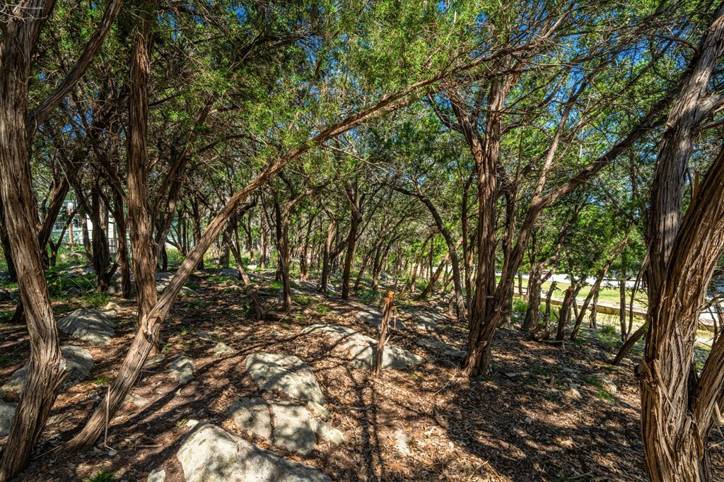 Property Photo:  Lot 16 Homer Dr  TX 78028 