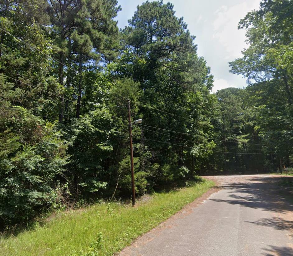 Property Photo:  Lot 1N Mountain Laurel Drive  GA 31831 