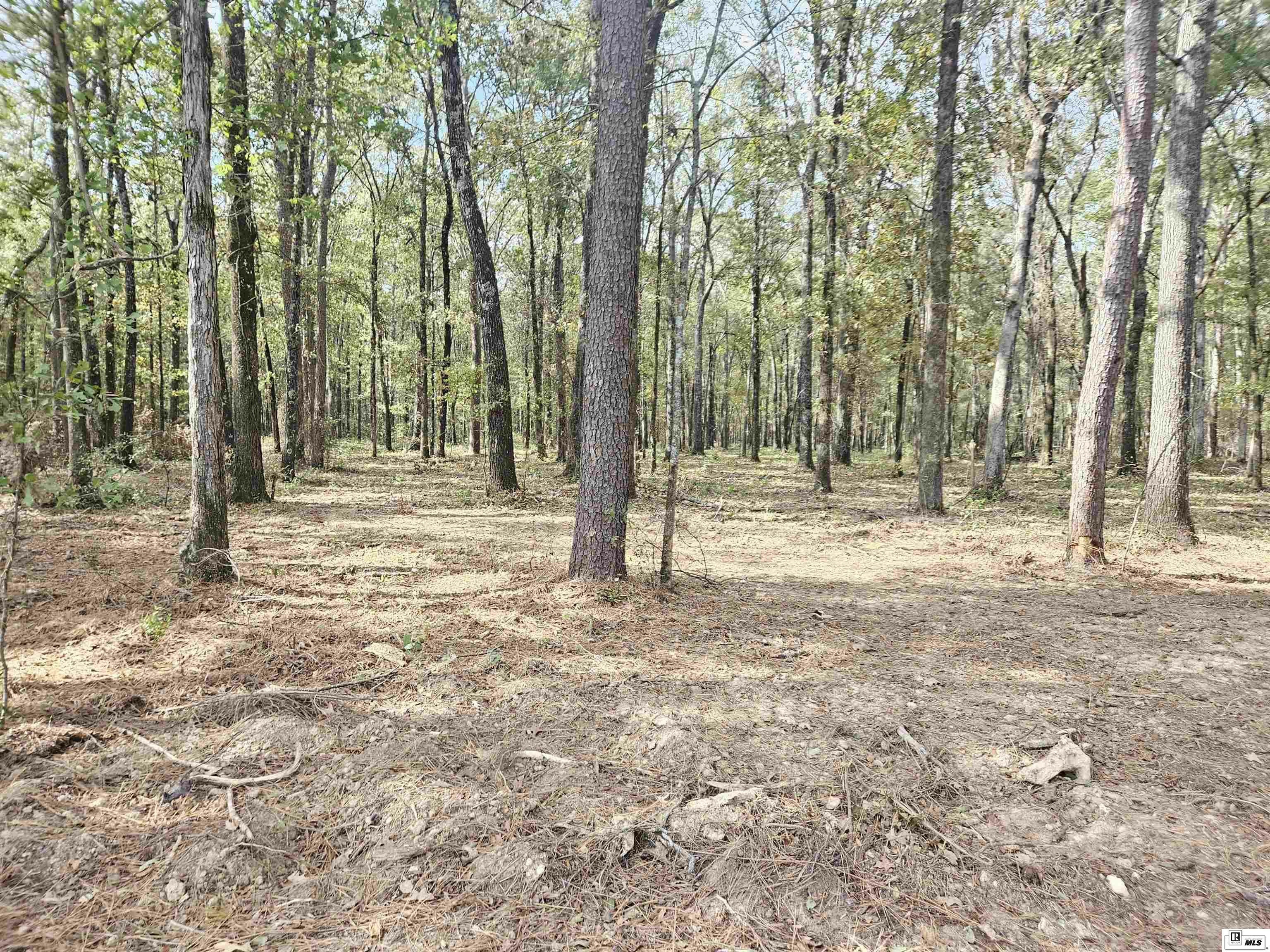 Property Photo:  Lot 1 Hudson Drive  LA 71203 