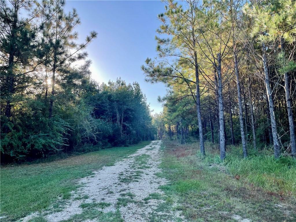 Property Photo:  Fire Fox Road  MS 39470 