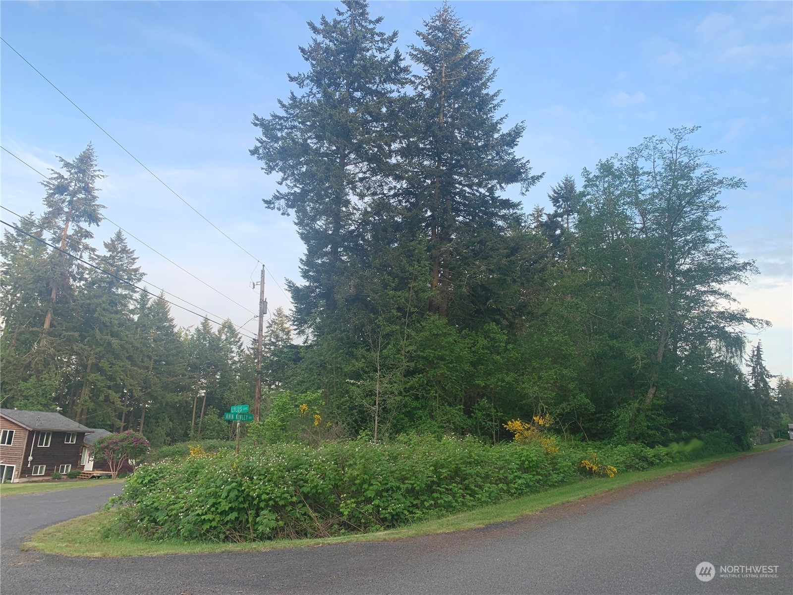 Property Photo: 0 Lylus Lane WA 98339