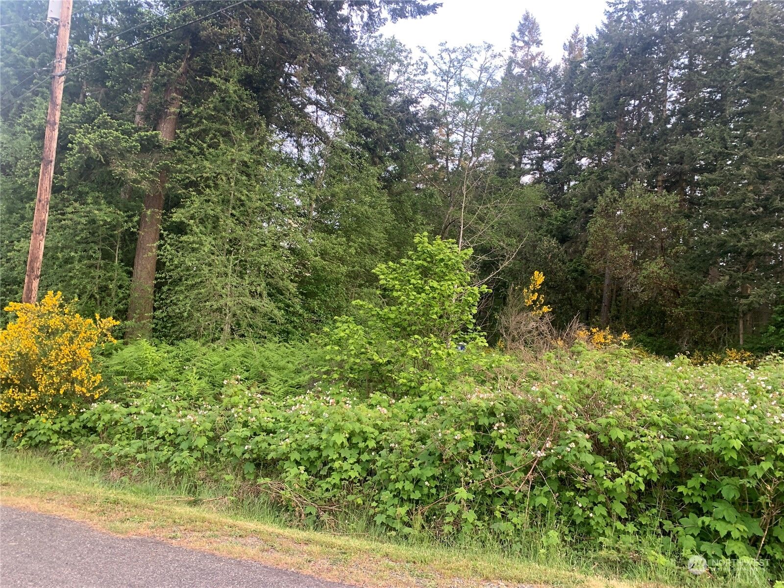 Property Photo:  0  Lylus Lane  WA 98339 