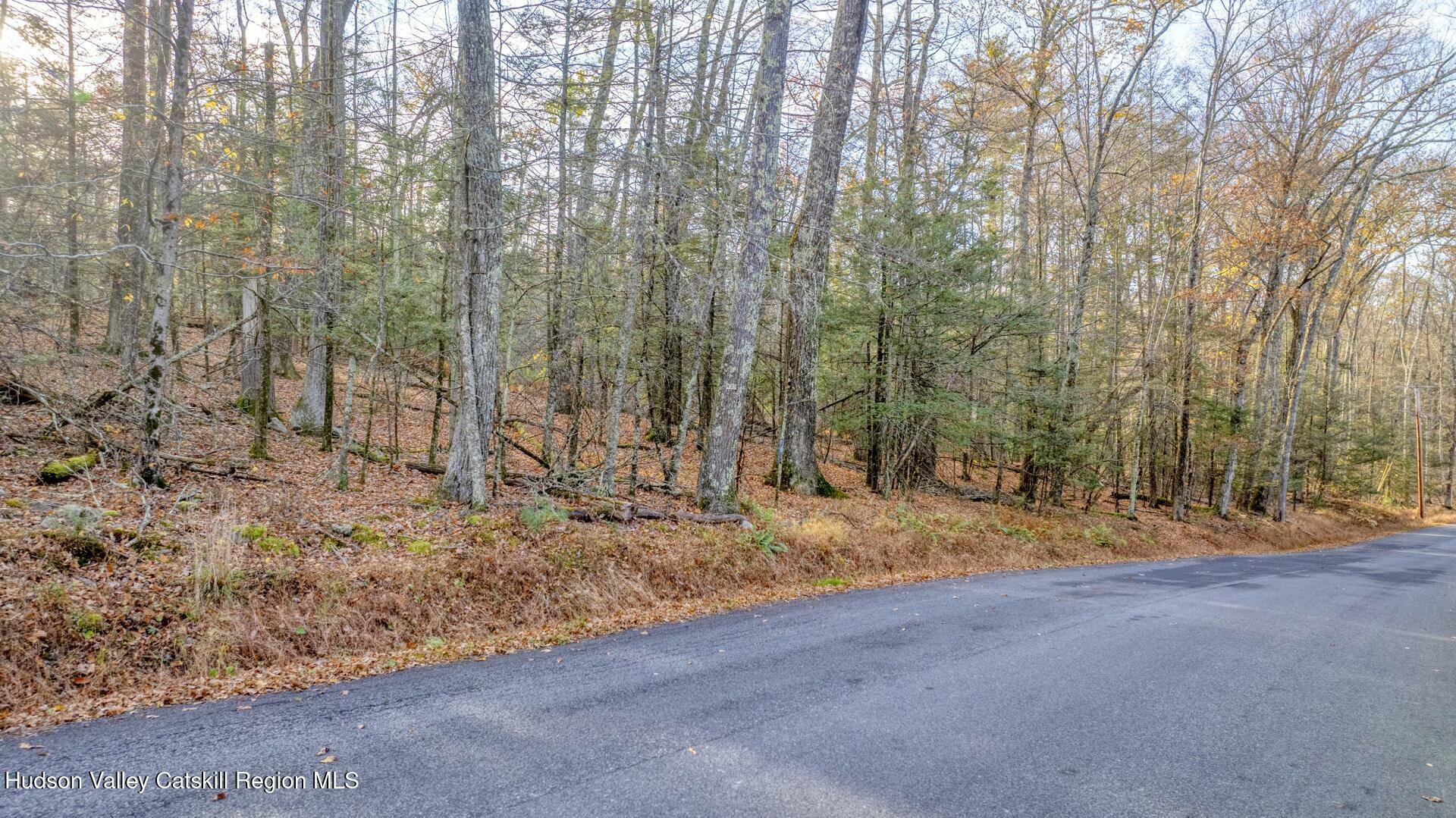 Property Photo:  Tbd Cherry Hill Lot #3  NY 12484 