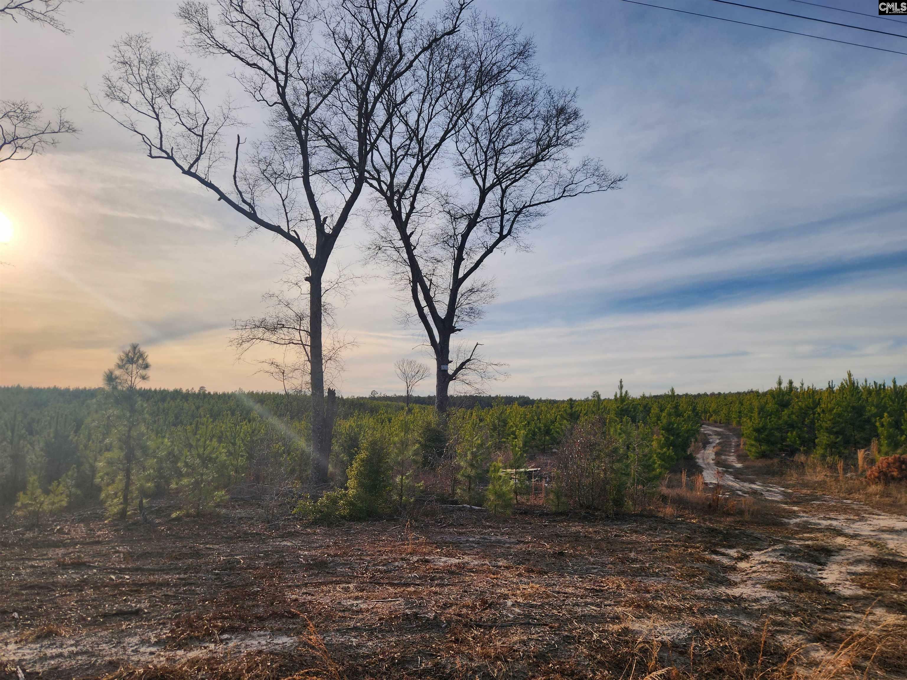 Property Photo: Bce 8A Kelly Day SC 29123