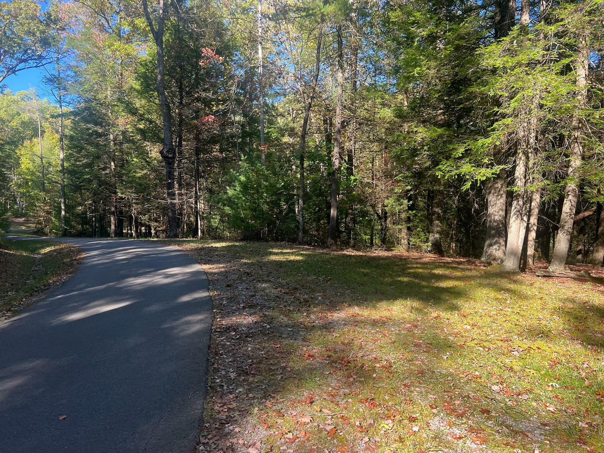 Property Photo:  Old Asbury Trace Lot 24  WV 24910 