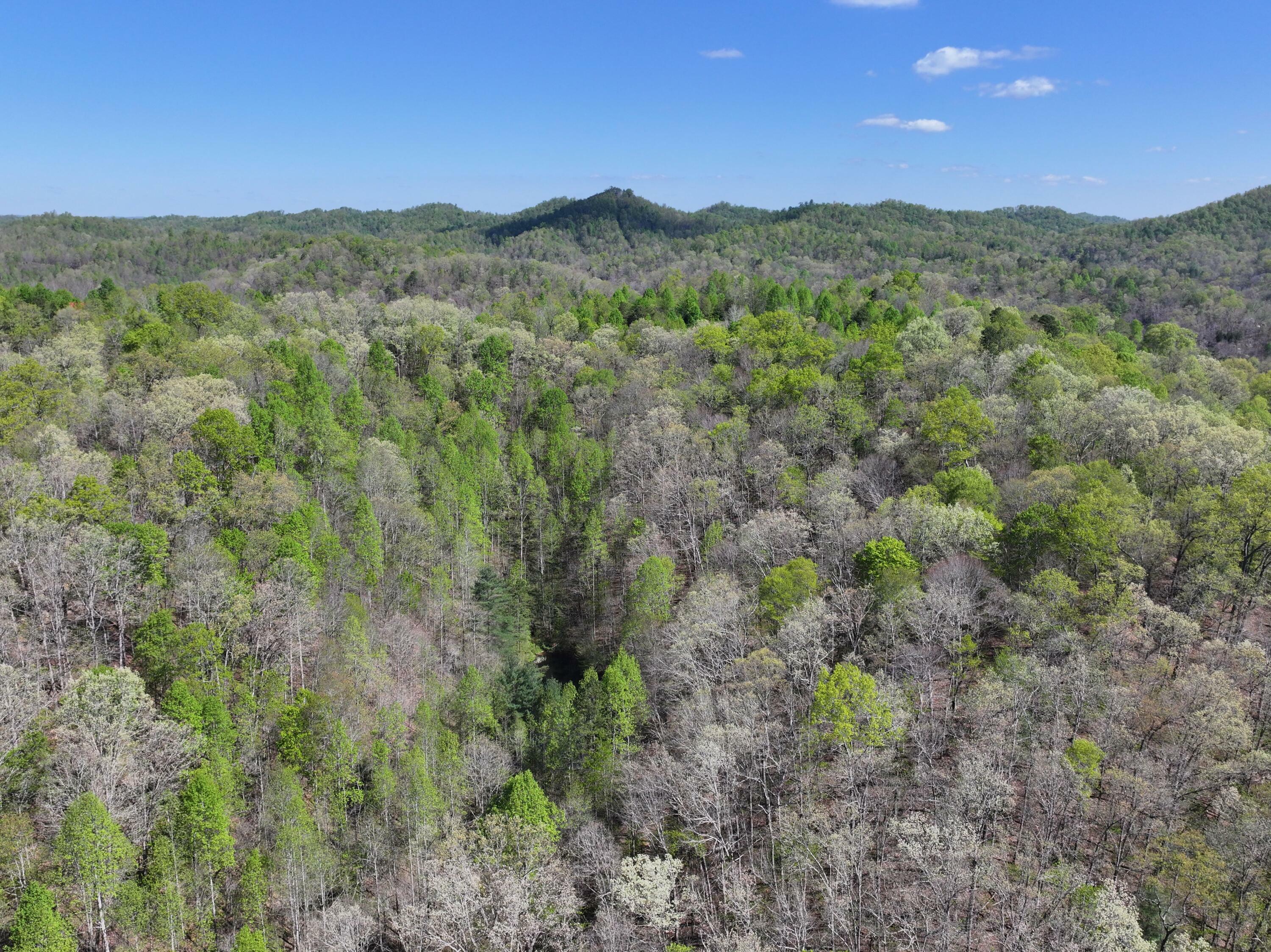 Property Photo:  0 Holly Fork Road  KY 41311 