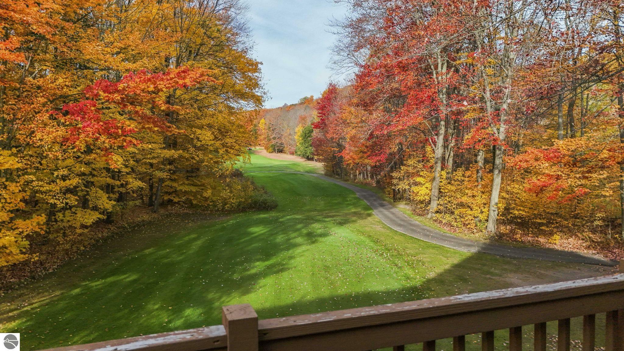 Property Photo:  2100 W Schuss Mountain Road  MI 49615 