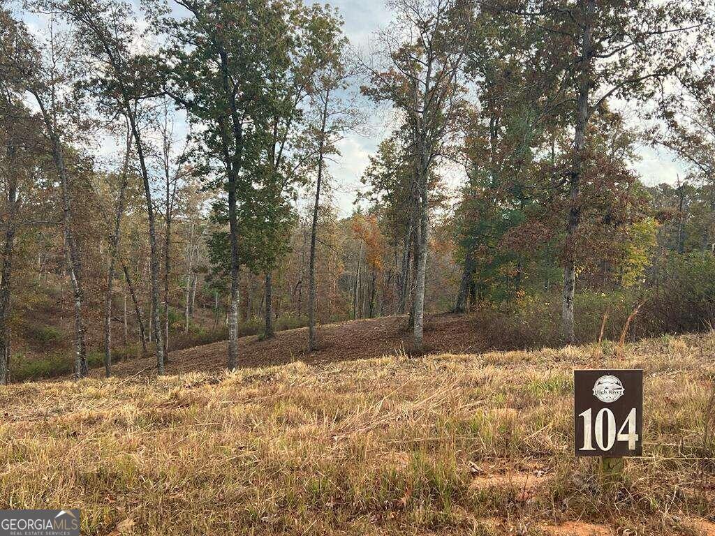 Property Photo: Lot 104 High River Road 104 GA 30540