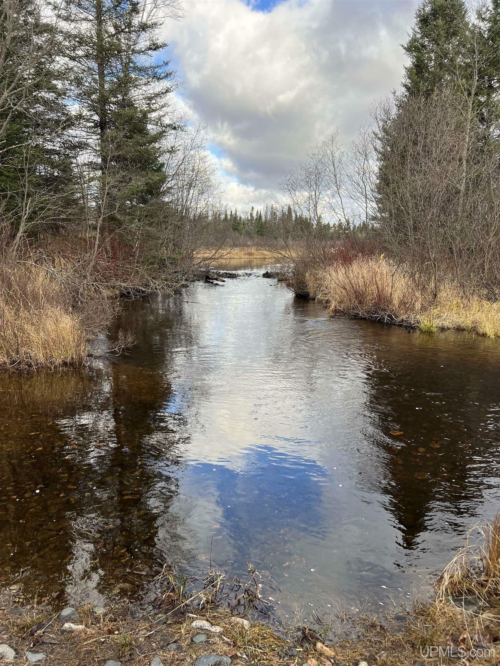 Property Photo:  Tbd Deer Lake Road Road  MI 49920 