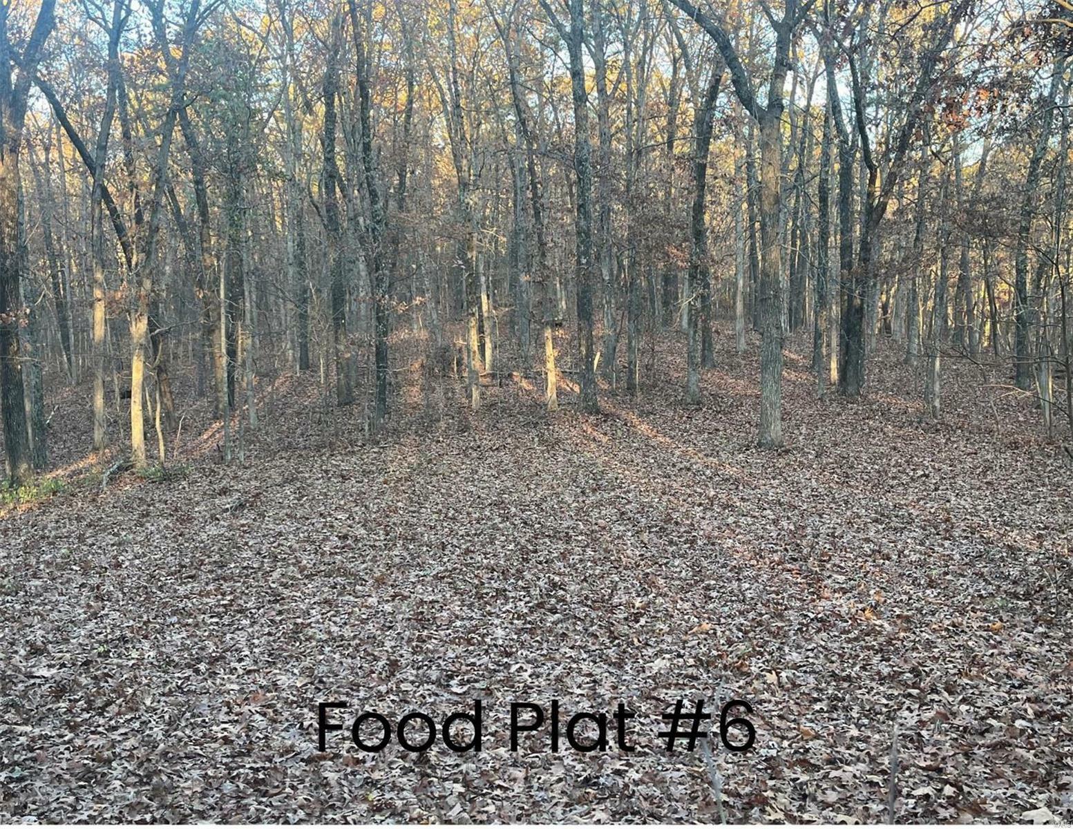 Property Photo:  0 (320+/- Acres) Lodge Road  MO 65441 