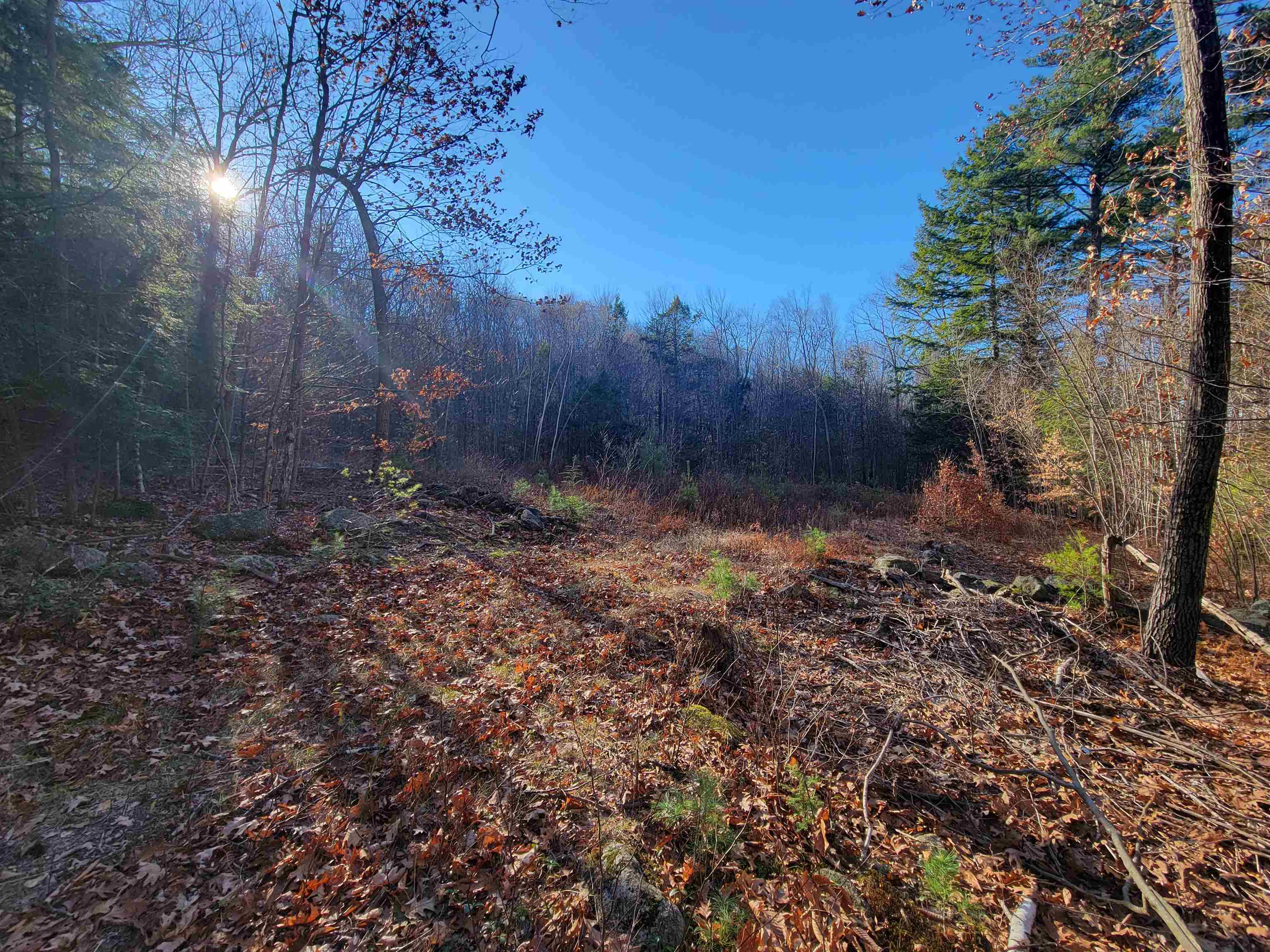 Property Photo:  Cobb Meadow Road  NH 03444 