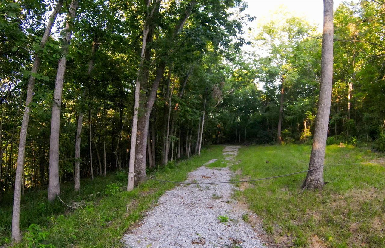 Property Photo:  7970 Brandenburg Road  KY 42754 