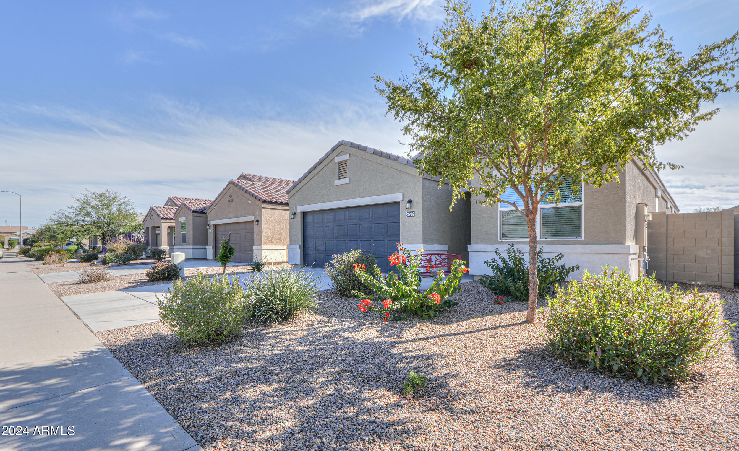 Property Photo: 36409 W Pampoloma Avenue AZ 85138