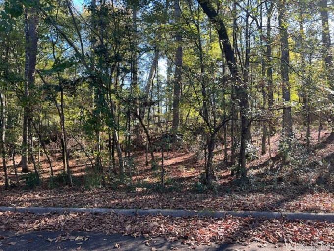 Property Photo:  Lot 12 Mockingbird Lane  AR 71701 