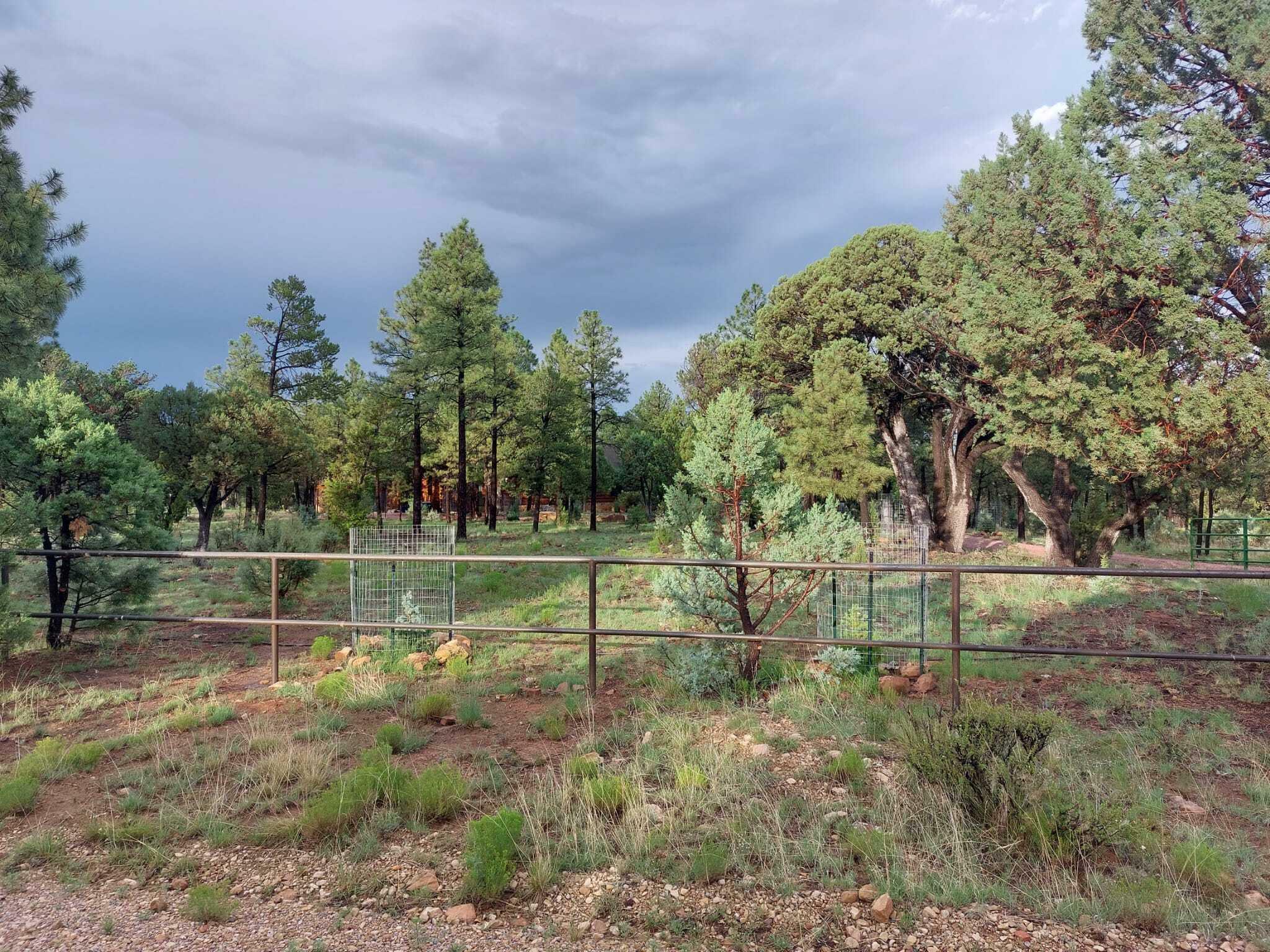 Property Photo:  6889 Whispering Pine Drive  AZ 86024 