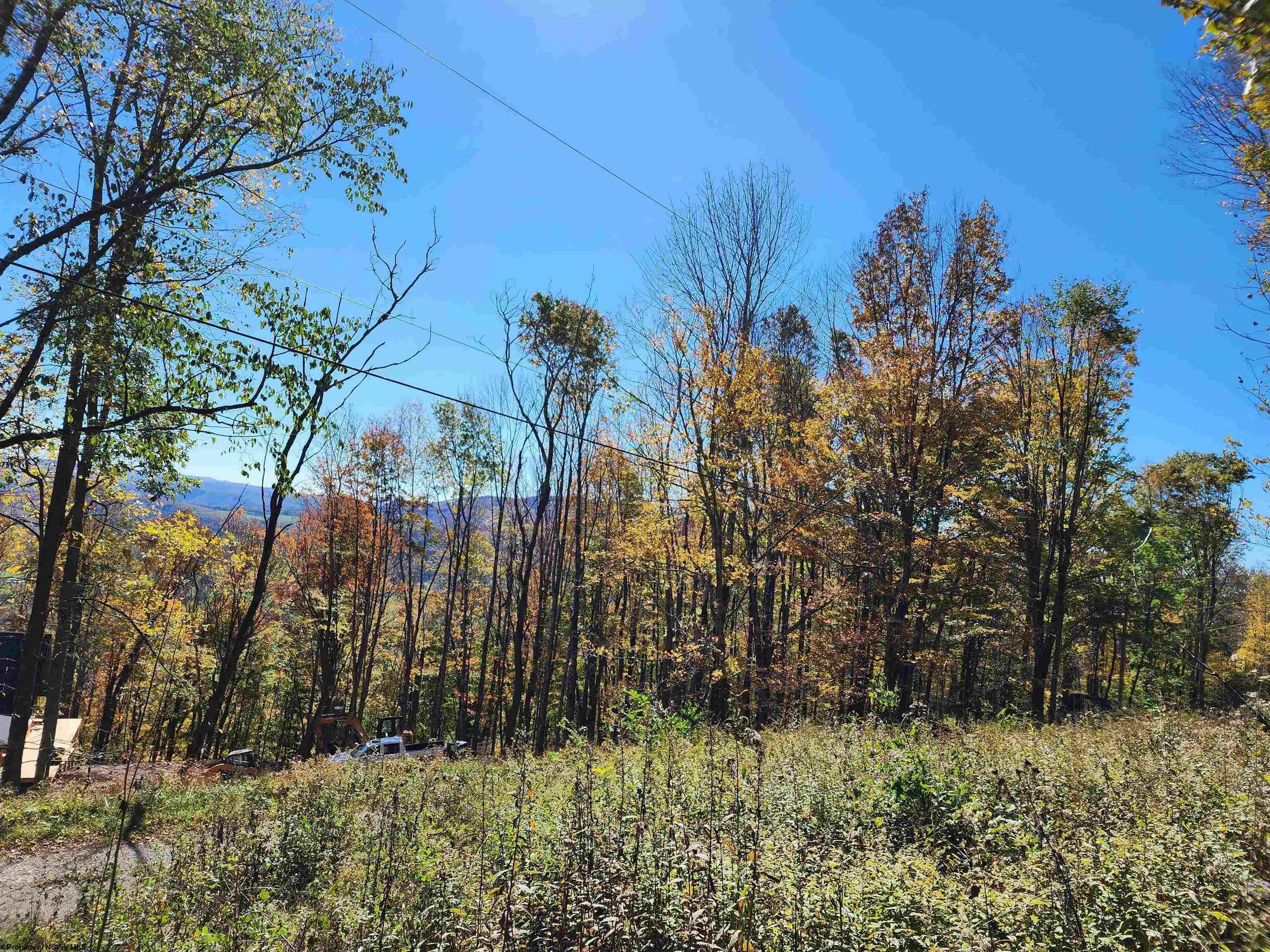 Property Photo:  22 E Meadows Road High Mtn  WV 26270 