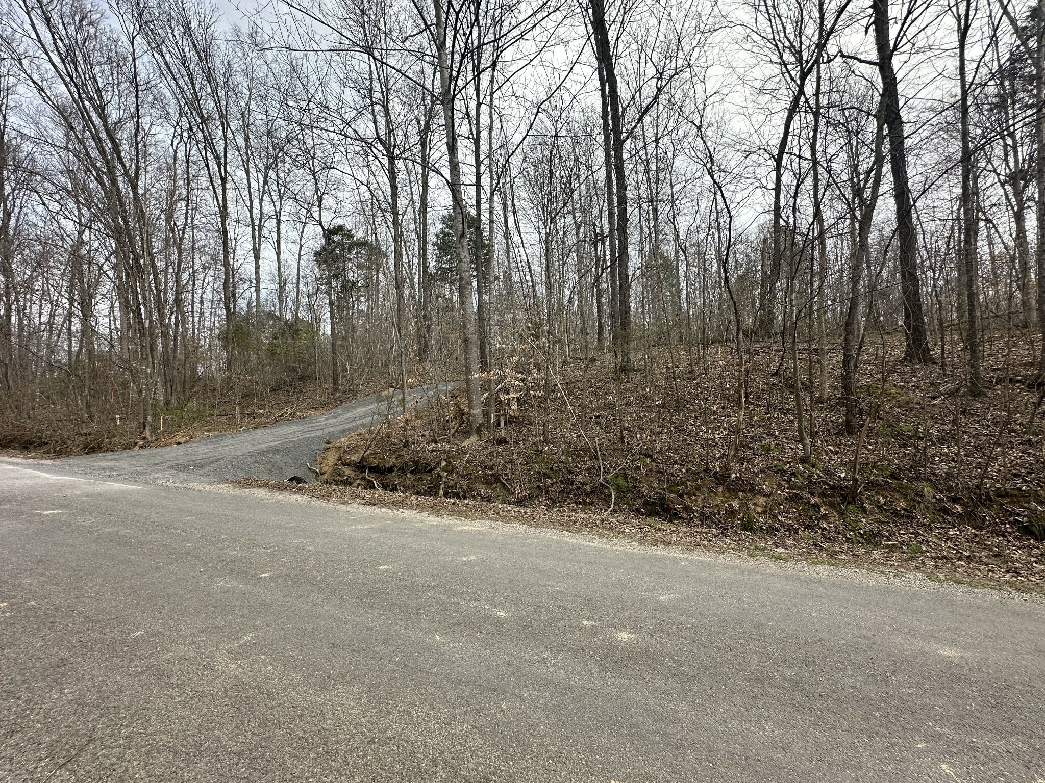 Property Photo:  0 White Springs Road  TN 37083 