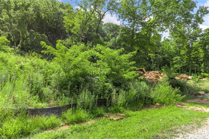 Property Photo: Lot 3 Significance Summit AR 72601