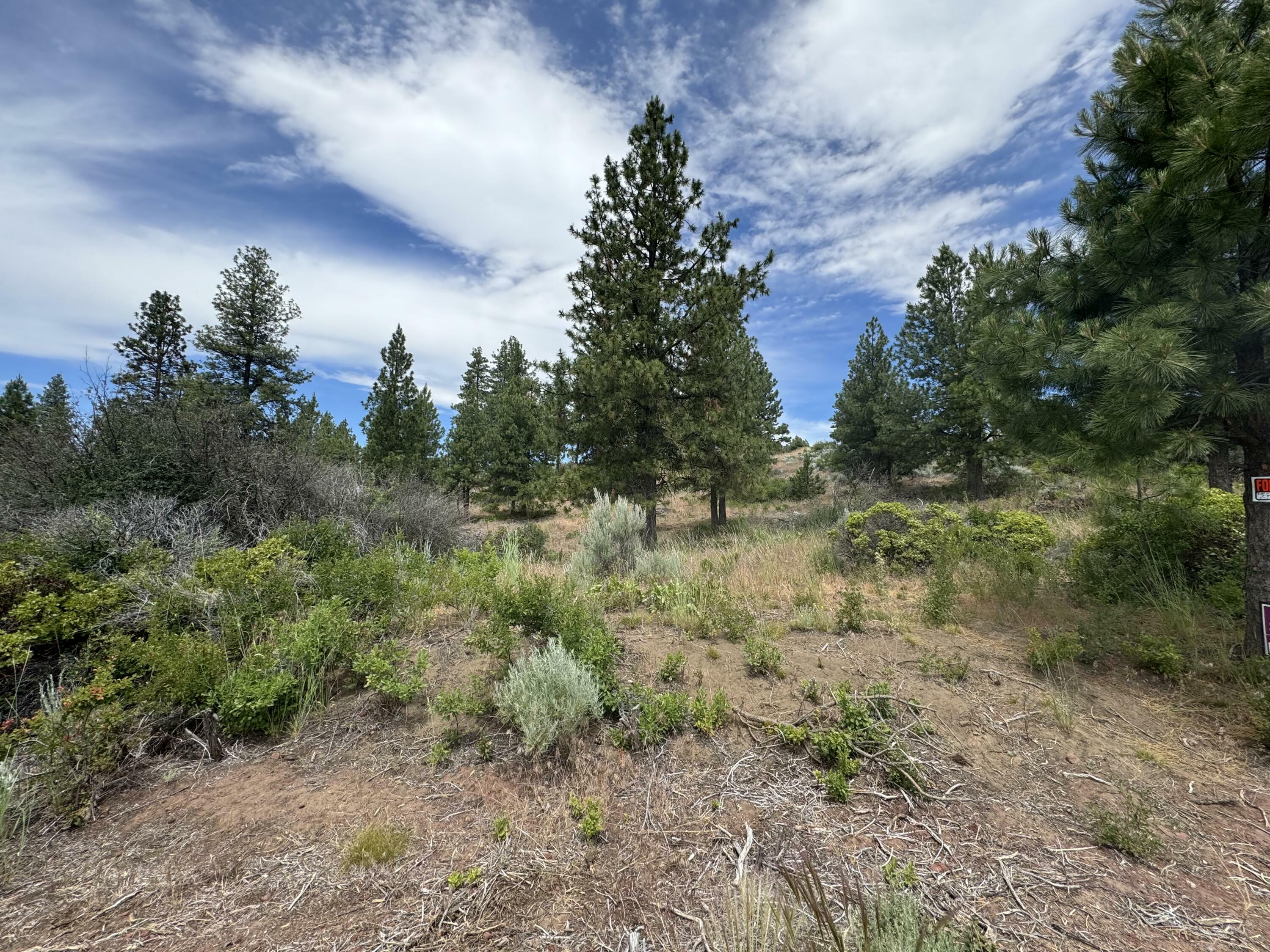 Property Photo:  Legget Drive Lot 24  OR 97624 