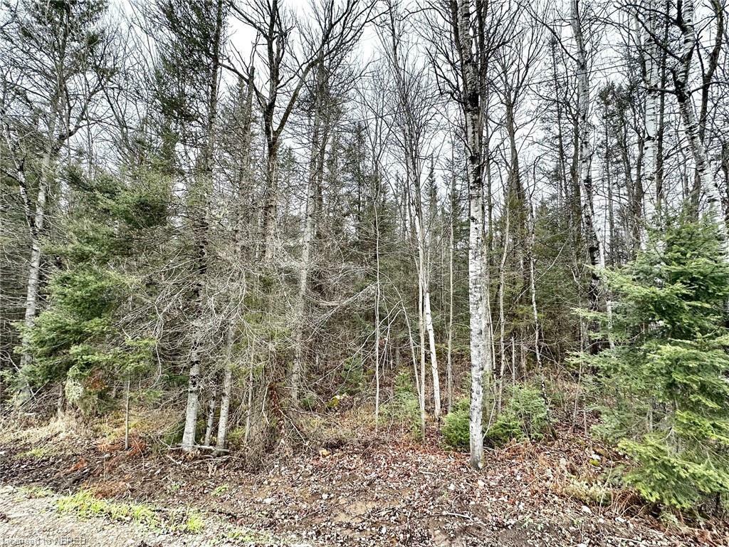 Pt Lot 13 Janveau Road  Mattawa ON P0H 1V0 photo