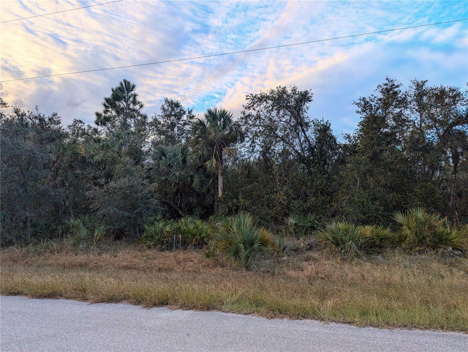 Property Photo:  Lot 12 Mattox Circle  FL 34288 