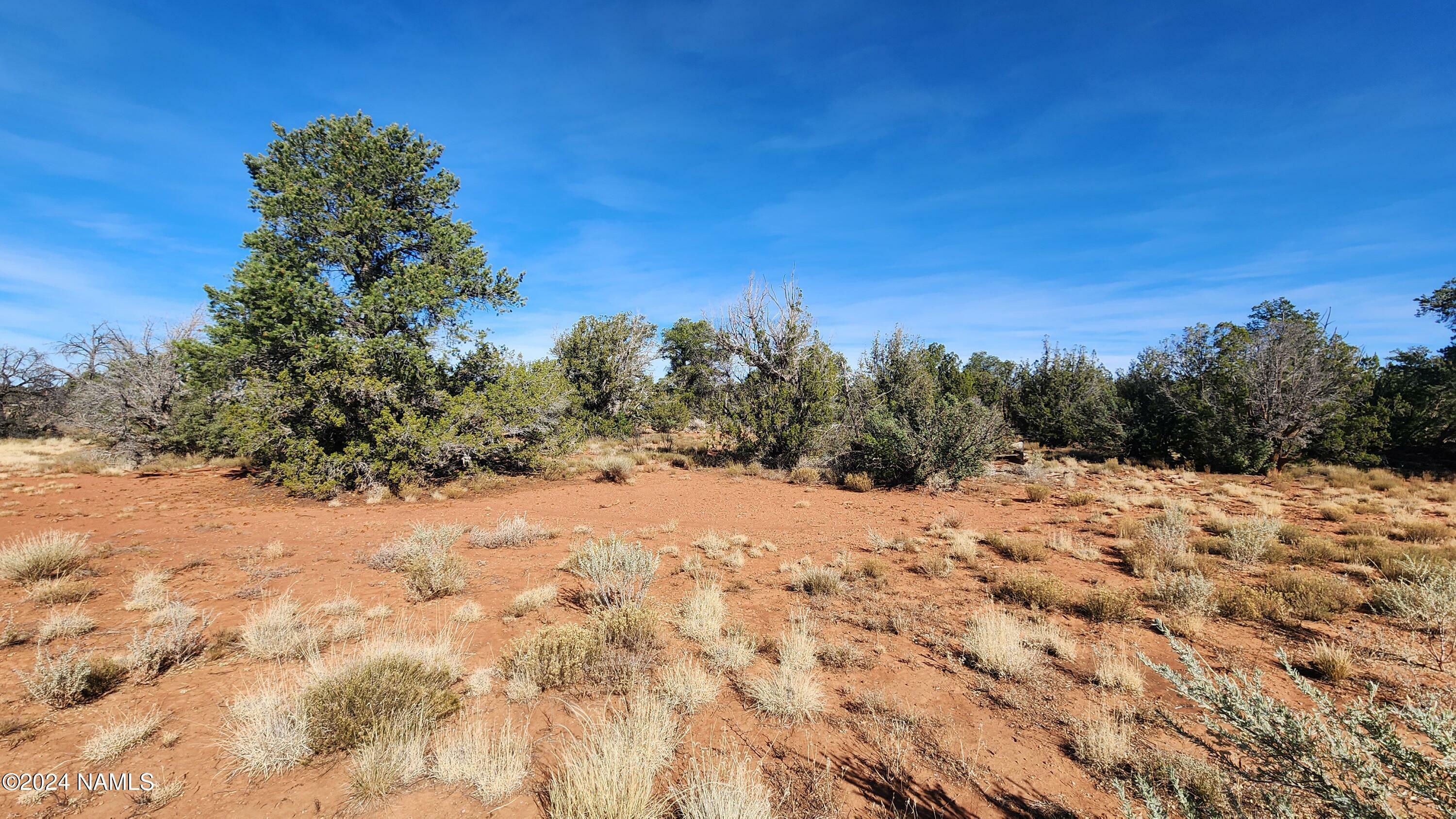 Property Photo:  2089 S Poppy Lane  AZ 86046 