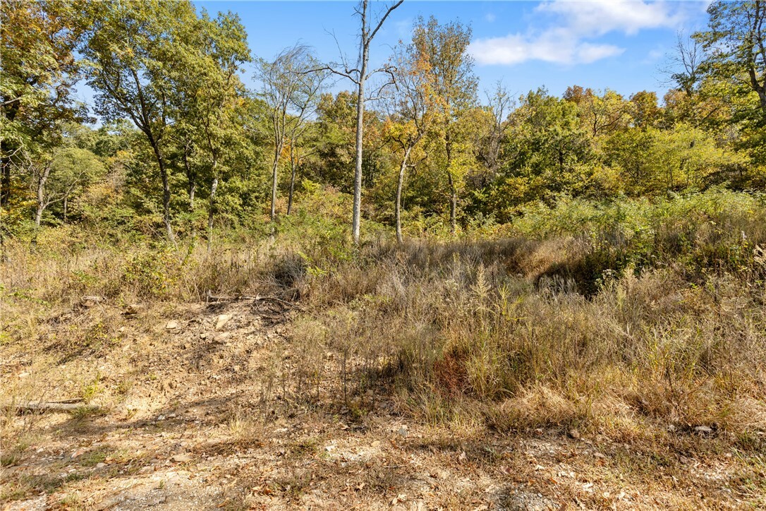 Property Photo:  Lot 50 Restore Ridge  AR 72601 