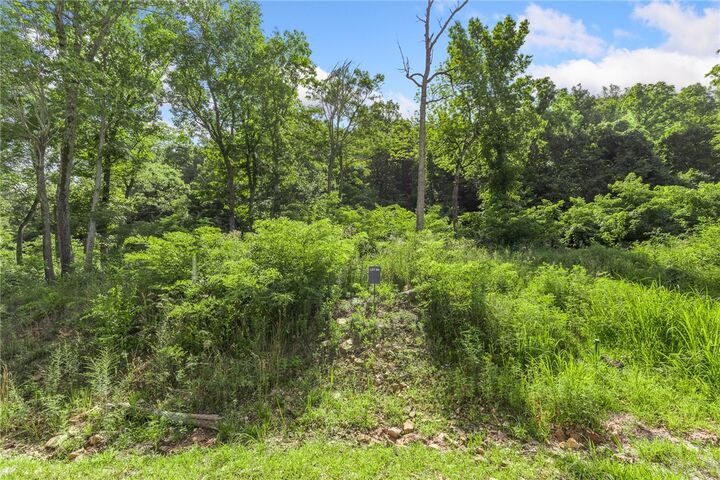 Property Photo: Lot 50 Restore Ridge AR 72601