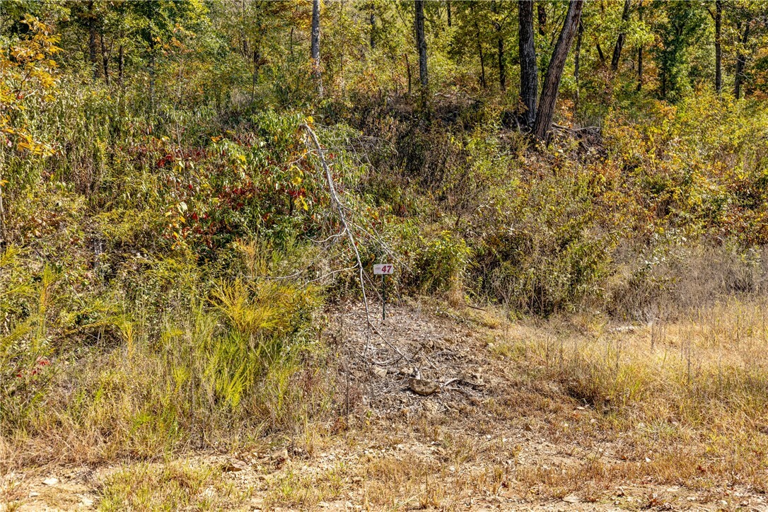 Property Photo:  Lot 47 Restore Ridge  AR 72601 