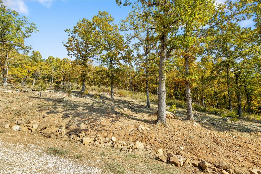 Property Photo:  Lot 15 Peaceful Place  AR 72601 