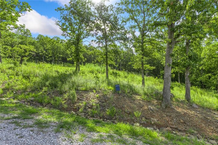 Property Photo: Lot 15 Peaceful Place AR 72601