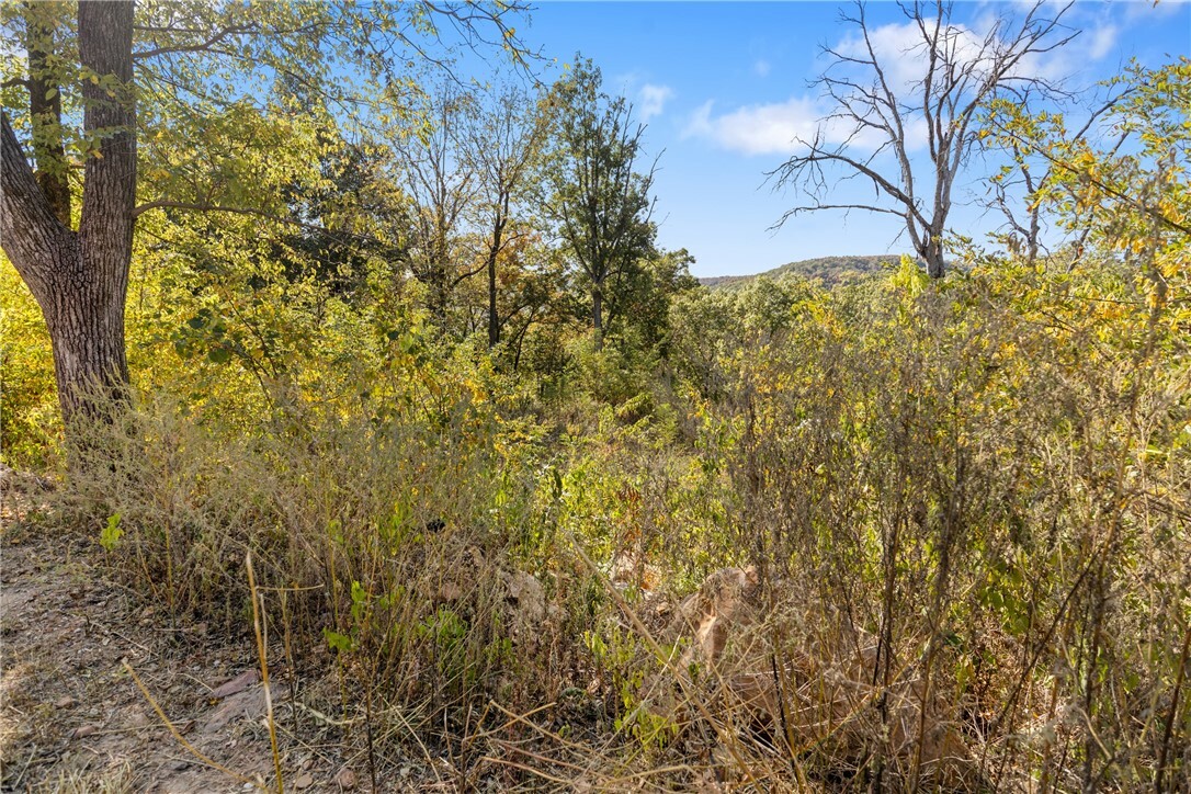 Property Photo:  Lot 27 Peaceful Place  AR 72601 